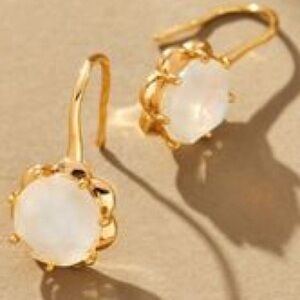 NWT Anthropologie Stone Fishhook Drop Earrings